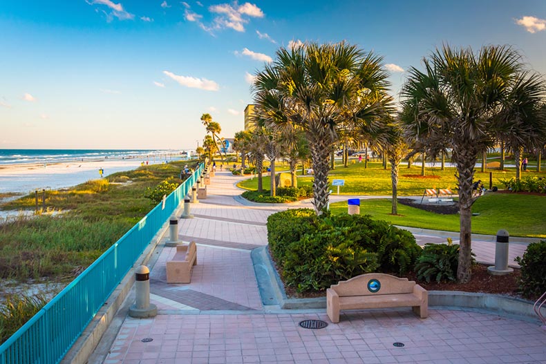 Palm trees and a walkway along the beach in Daytona Beach, Florida