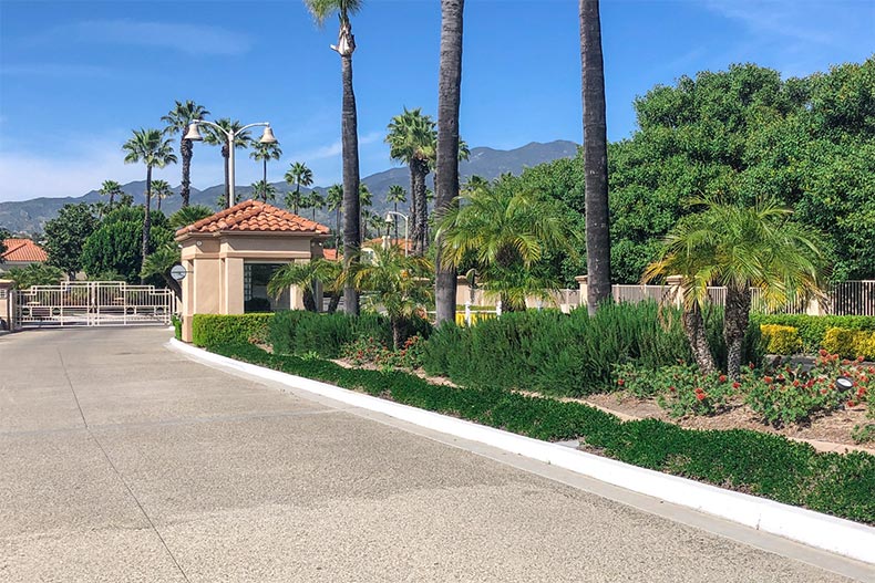 Palm trees at the entrance to Palmia in Mission Viejo, California