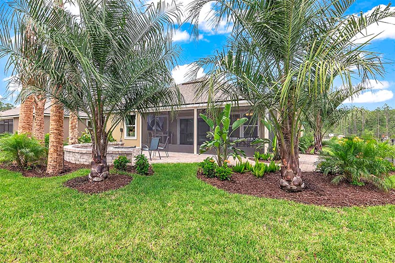 Palm trees outside a home at Parkland Preserve in St. Augustine, Florida