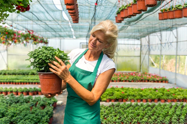 A woman potting plants as her part-time job after retirement