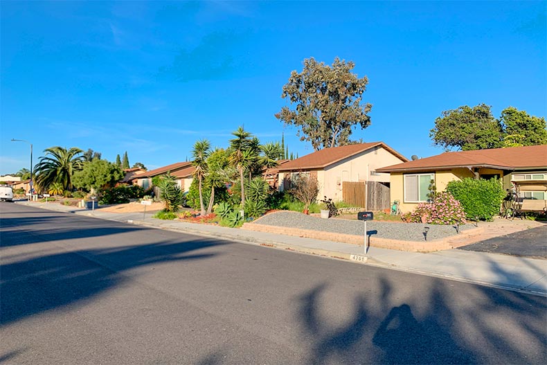 A street lined with trees and houses at Peacock Hills in Oceanside, California