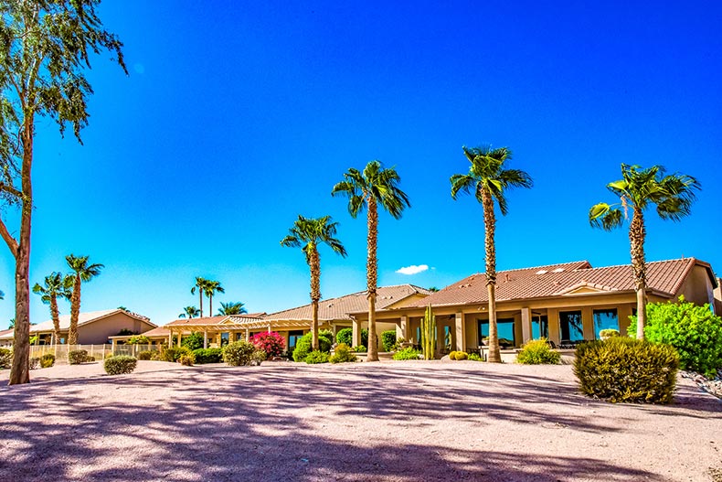 Palm trees and community buildings at PebbleCreek in Goodyear, Arizona