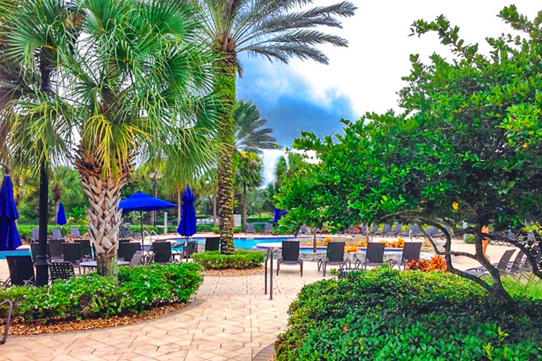 Palm trees and patio chairs surrounding the outdoor pool at Pelican Preserve in Fort Myers, Florida