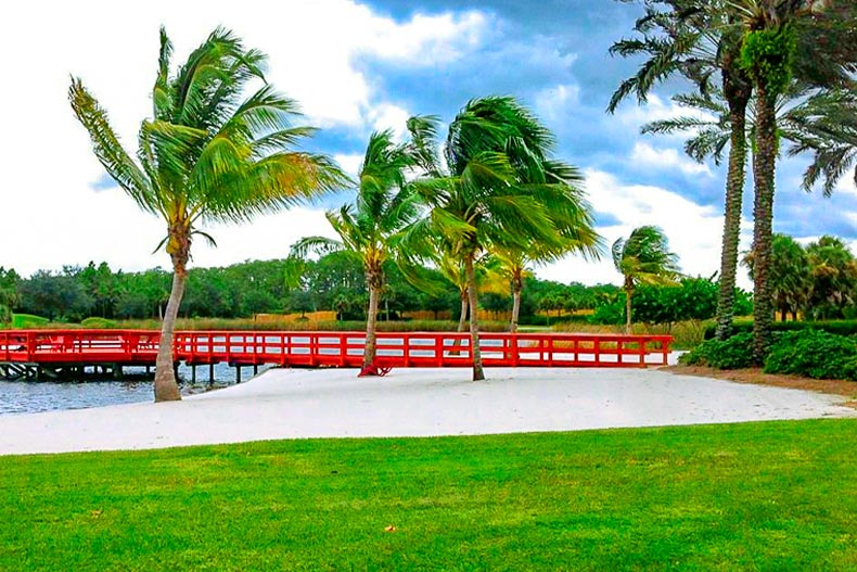 Palm trees and a red bridge on a sand bunker in Pelican Preserve, located in Fort Myers, Florida