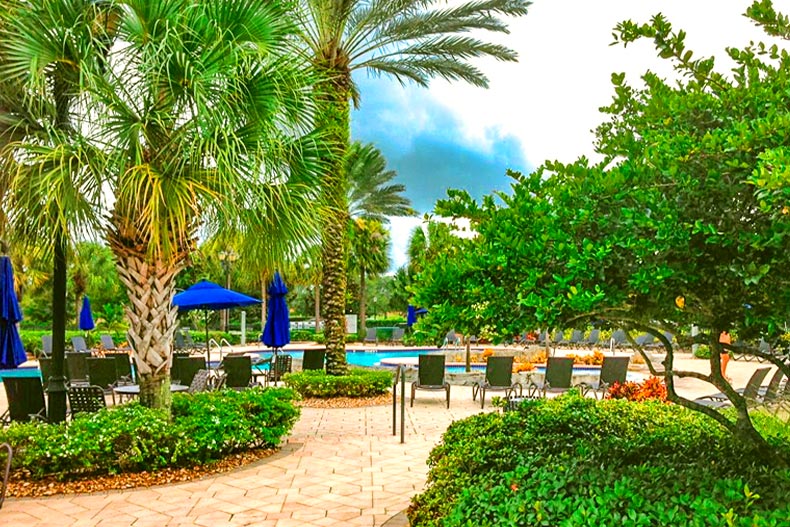 Palm trees and shrubs lining a bath leading to an outdoor pool and patio in Pelican Preserve of Fort Myers, Florida