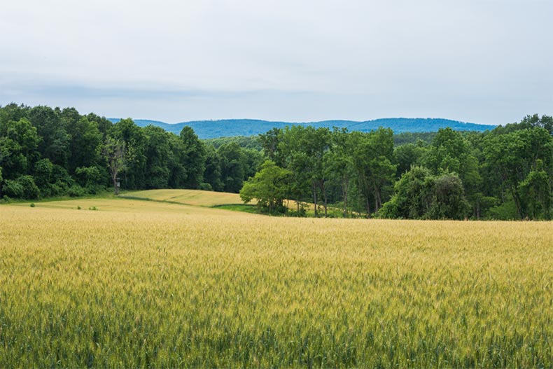 Rural farmland in York County, Pennsylvania