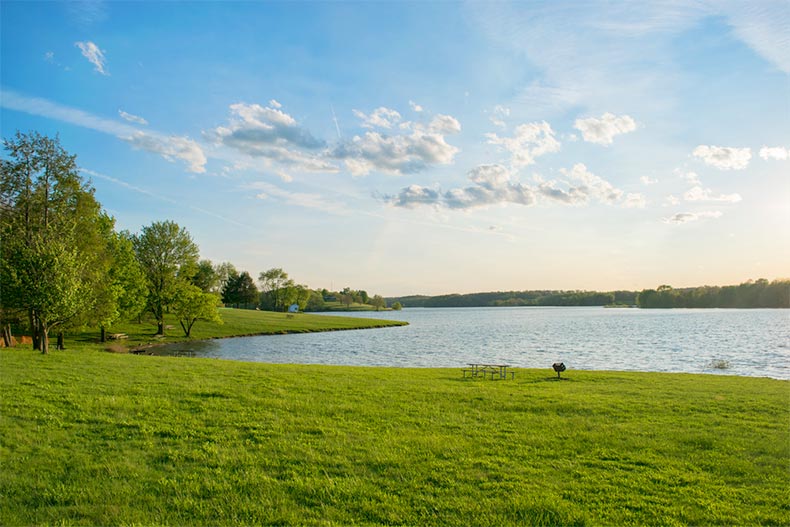 Trees and grass beside a picturesque lake in Pennsylvania