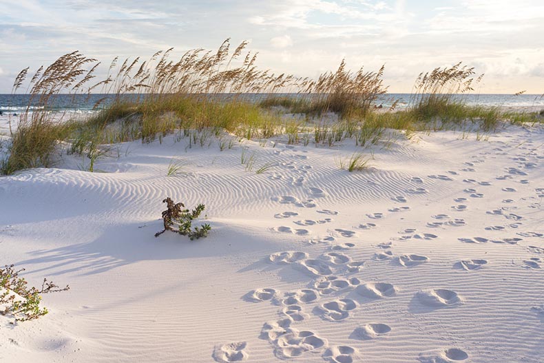 Footprints in the sand at sunset in the dunes of Pensacola Beach, Florida
