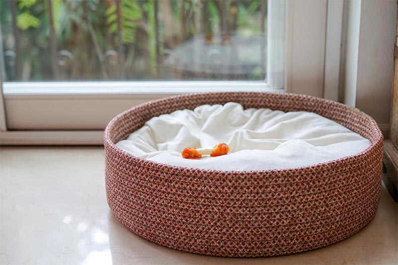 An empty dog bed basket with a dog bone snack left on the bed