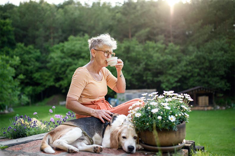A senior woman with a pet dog sitting outdoors in a garden