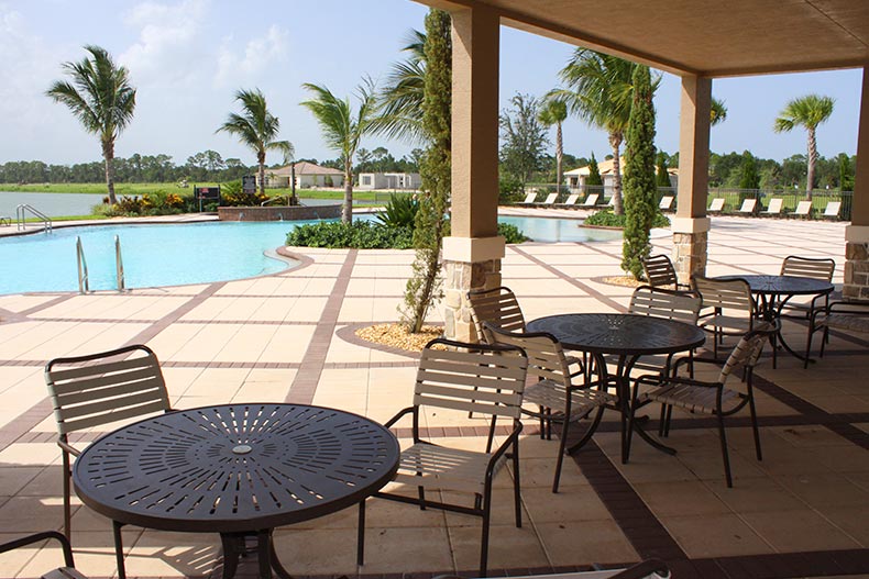 Palm trees surrounding the outdoor pool and patio at PGA Village Verano in Port St. Lucie, Florida