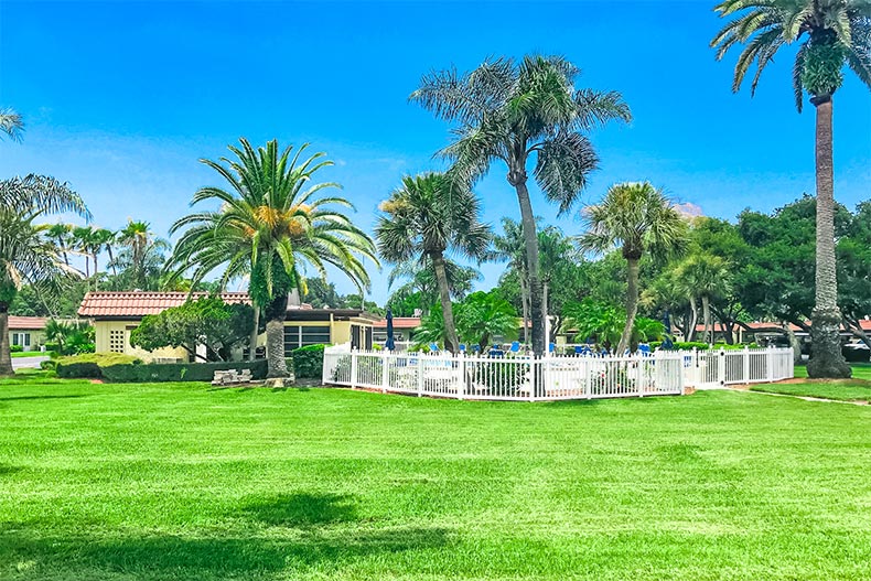 Palm trees surrounding the outdoor amenities at Pinehurst Village in Dunedin, Florida