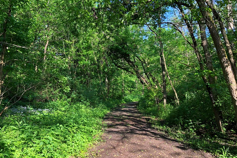 A walking trail in Plainfield, Indiana