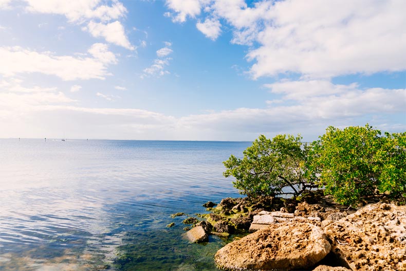 The peace river at Punta Gorda in Port Charlotte, Florida