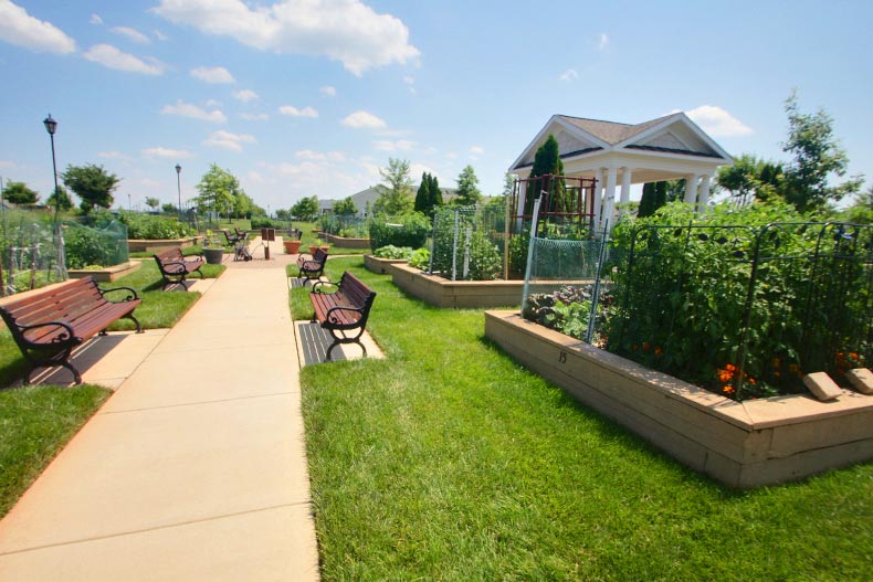 Benches beside a walkway winding through the community garden at Potomac Green in Ashburn, Virginia.