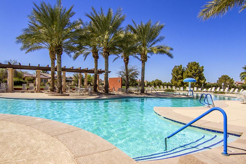 Palm trees and lounge chairs beside the outdoor pool at Province in Maricopa, Arizona