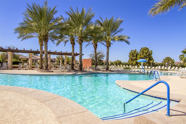 Palm trees beside the outdoor pool at Province in Maricopa, Arizona