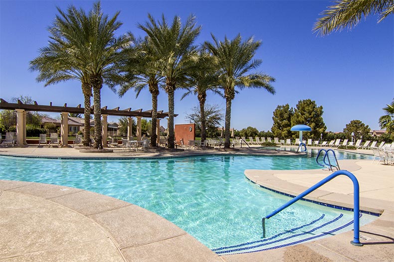 Palm trees surrounding the outdoor pool at Province in Maricopa, Arizona