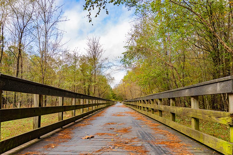 A wooden bridge over a creek surrounded by trees on the Neuse River Greenway in Raleigh, North Carolina