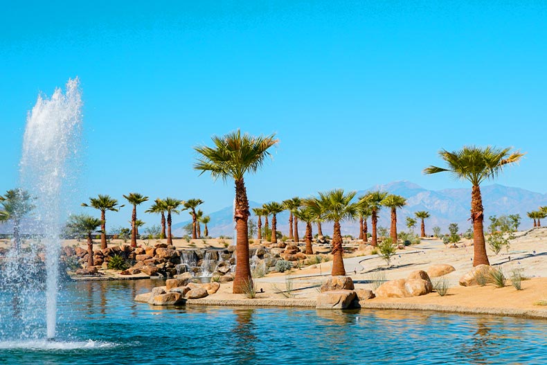 Photo of a pond and palm trees at Del Webb Rancho Mirage in Rancho Mirage, California