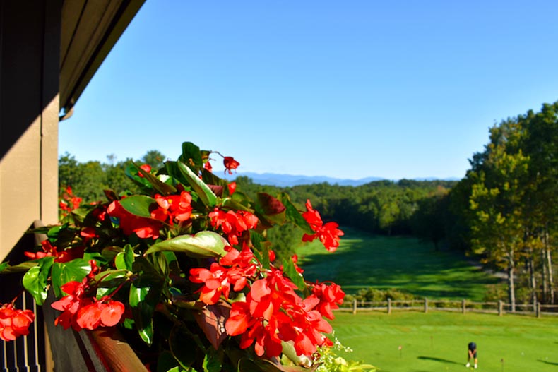Red flowers on the edge of a balcony overlooking a golf course in Connestee Falls, Brevard, North Carolina