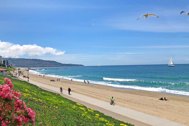 People jogging and cycling on a sunny day at Redondo Beach in California