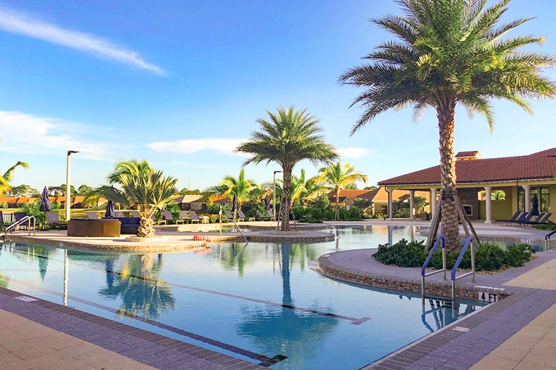 Palm trees surrounding the outdoor pool at Renaissance at West Villages in Venice, Florida