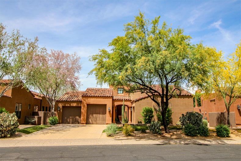 Trees in front of a southwest-style home in Phoenix, Arizona