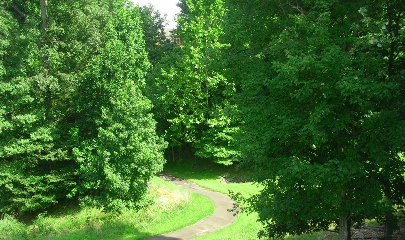Photo of walking path in a forest at River Ridge active adult community in Woodbridge, Virginia