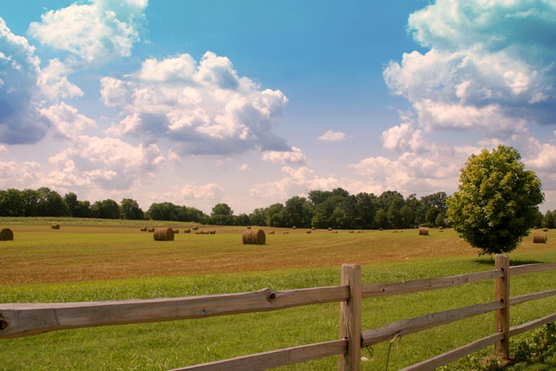 A fence along a field of hay in Nashville, Tennessee