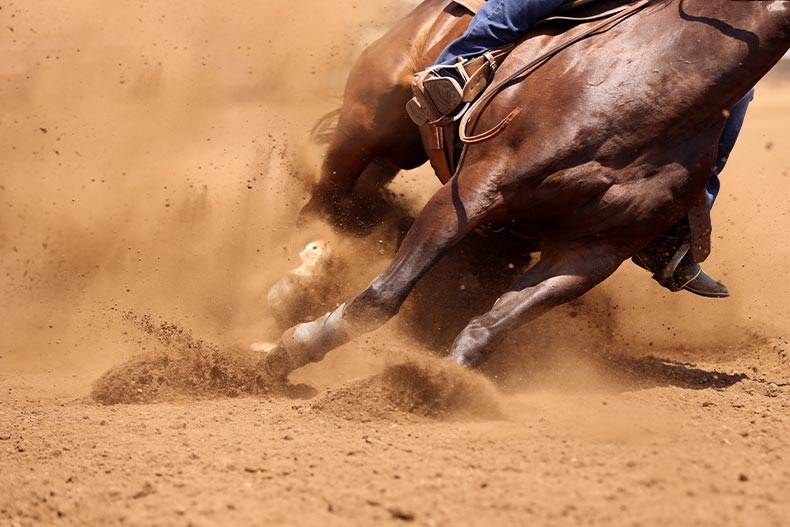 A horse and rider turning on a dirt race track