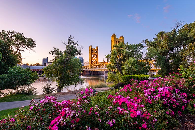 Photo of a garden near Tower Bridge in Sacramento, California