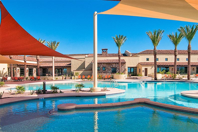 Palm trees around the outdoor pool at SaddleBrooke Ranch in Oracle, Arizona