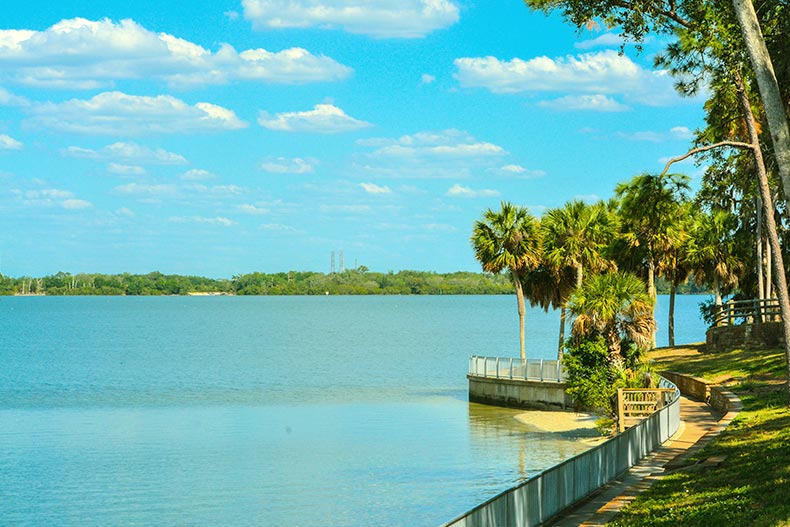 A walkway along Tampa Bay at Philippe Park in Safety Harbor, Florida.