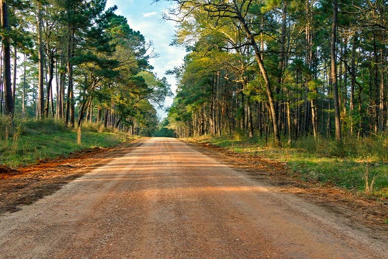 A red dirt road surrounded by trees in Sam Houston National State Forest, Conroe, Texas