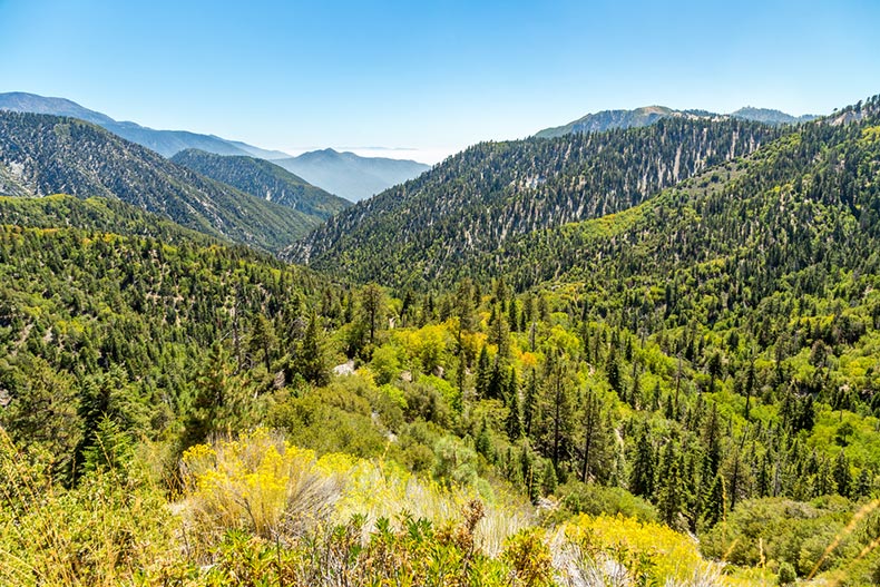 View down Big Bear Creek Valley from Butler Peak in the San Bernardino National Forest
