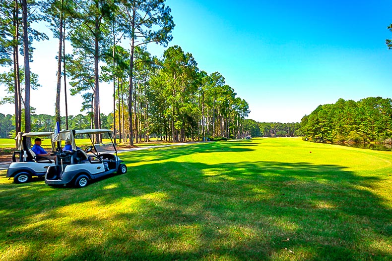 Photo of residents in golf carts on a golf course in Sun City Hilton Head, Bluffton, South Carolina