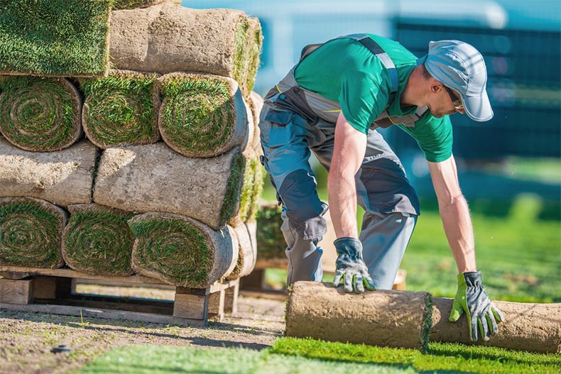 A landscaper installing rolls of sod to create a beautifully green lawn