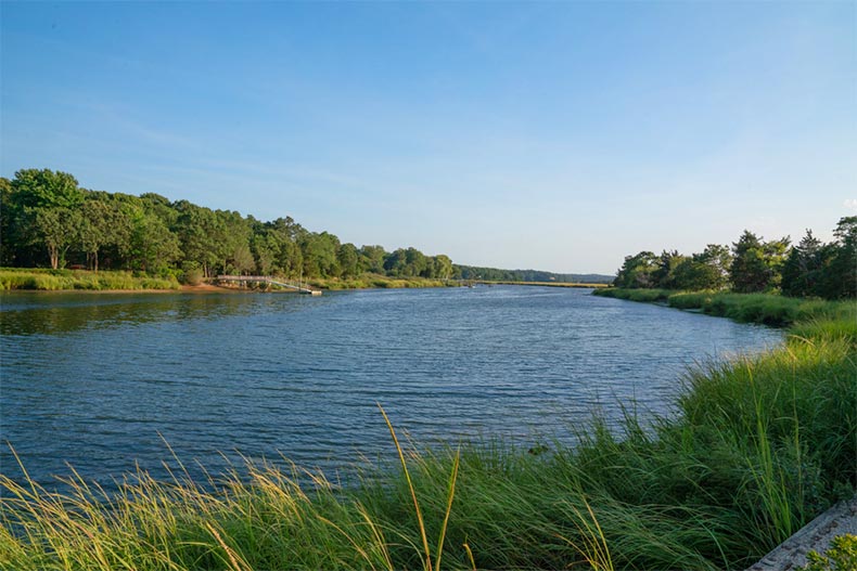 Grass along a riverbank in East Setauket in Long Island, New York