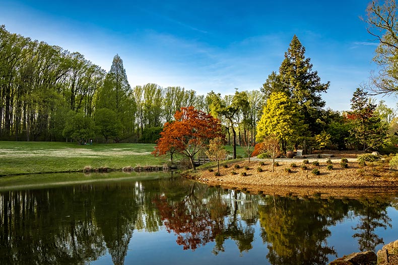 Trees surrounding a small lake and gazebo in Brookside Gardens in Silver Spring, Maryland