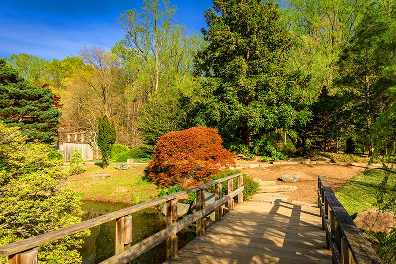 Photo of a spring garden with red leaf trees in Silver Spring, Maryland