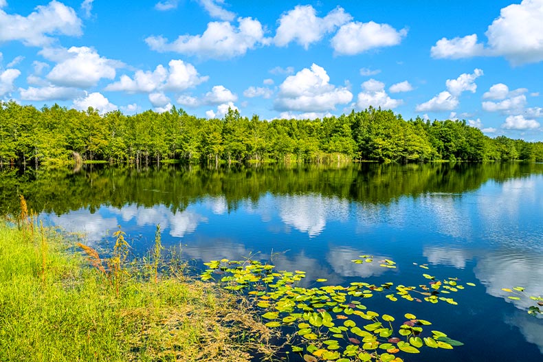 Clouds and blue sky reflecting in Gator Lake in the Six Mile Cypress Slough Preserve of Fort Myers, Florida