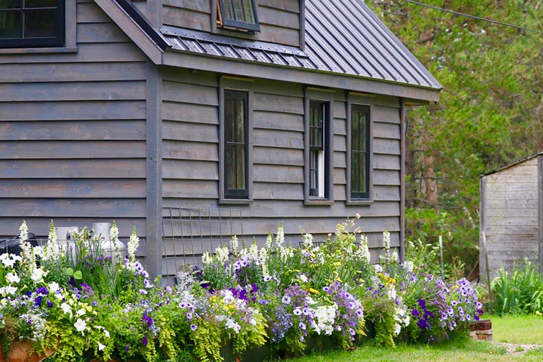 Flowers surrounding the outside of a small home