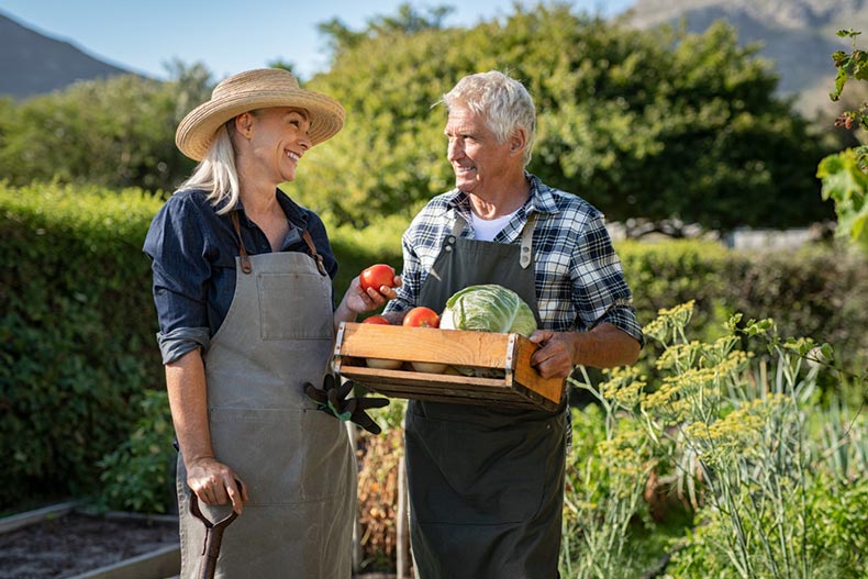 An older woman smiling at an older man carrying a wooden box of vegetables harvested from the community garden