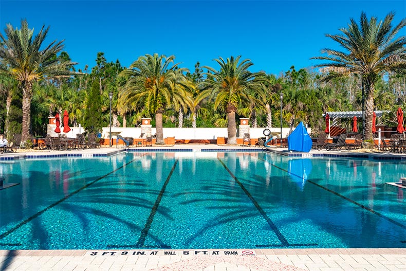 Palm trees surrounding the outdoor pool at Solivita in Kissimmee, Florida