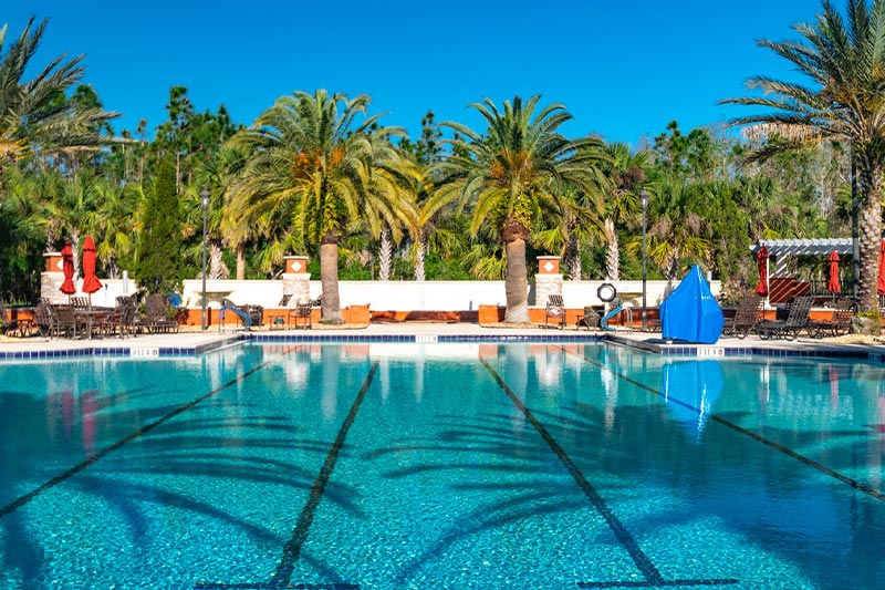 View of the outdoor pool at Solivita with lush palm trees in the background.