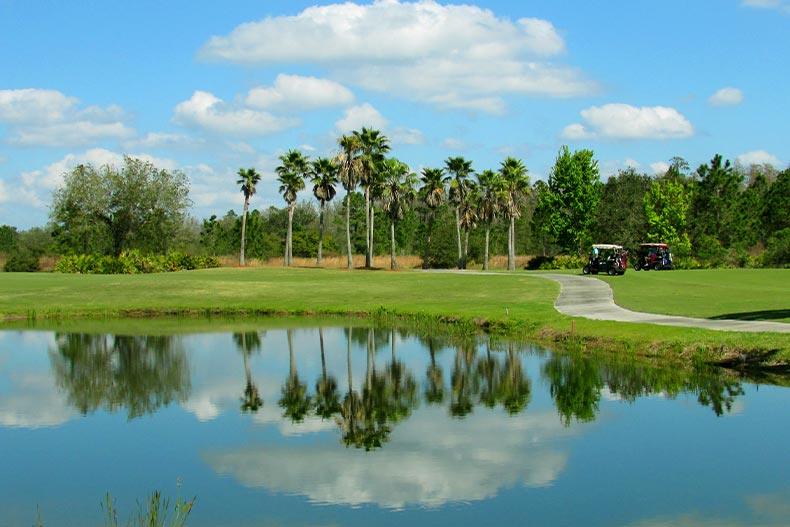 Palm trees reflecting in a pond on a golf course in Solivita of Kissimmee, Florida with two golf carts nearby