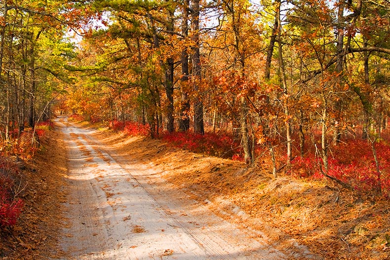 A dirt rural road during autumn in Southern New Jersey