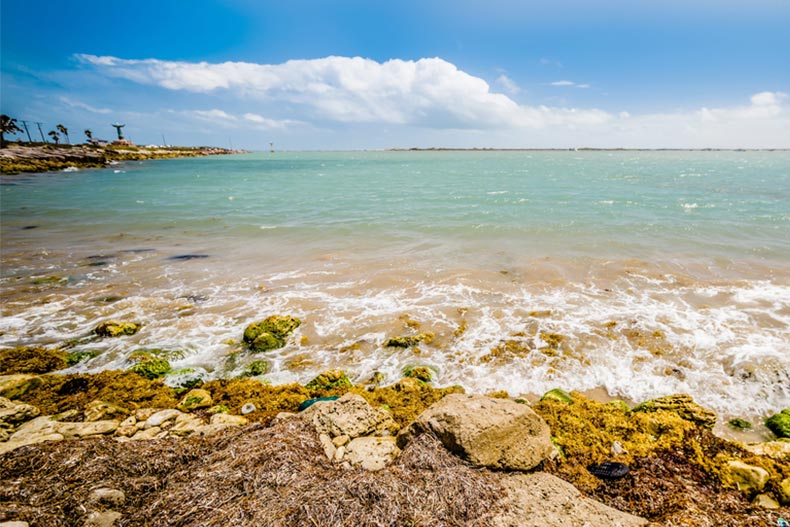 Coastal landscape near South Padre Island, Texas