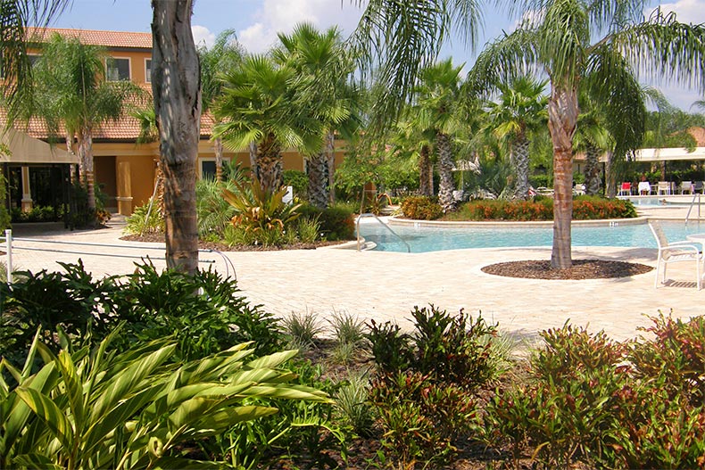Palm trees surrounding the outdoor resort-style pool at Southshore Falls in Apollo Beach, Florida